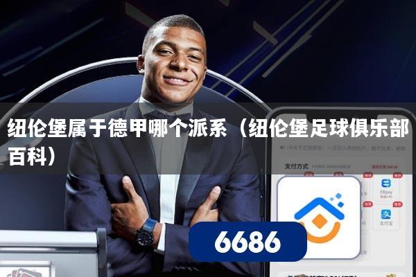 纽伦堡属于德甲哪个派系(纽伦堡足球俱乐部百科)